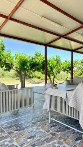 The Olive Nest House