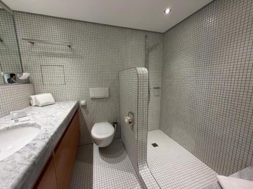 a bathroom with a shower and a toilet and a sink at Bodensee-Schloss Maurach in Uhldingen-Mühlhofen