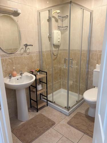 a bathroom with a shower and a sink and a toilet at Luxury Town House-Apartment Carrick-on-shannon in Carrick on Shannon
