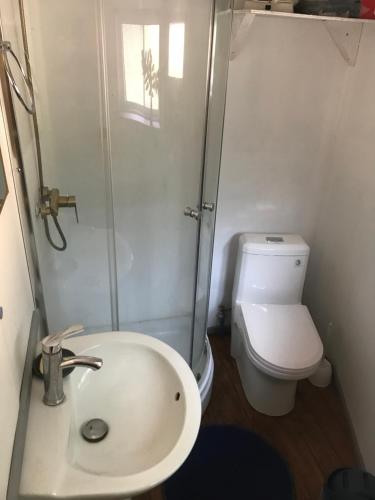 a bathroom with a shower and a sink and a toilet at Chakana Newen Refugio in San Clemente
