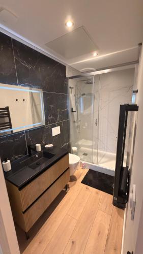 a bathroom with a shower and a sink and a tub at Studio Cocon & Bulle in La Côte-Saint-André