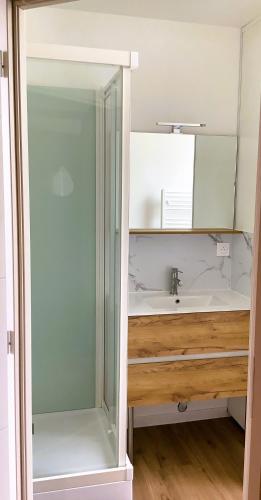 a bathroom with a sink and a mirror at Pas Sages in Le Tréport