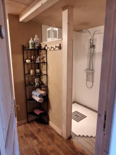 a walk in shower in a small room with a closet at Chambres d'hôtes " Casa della Felicità " in La Roche-sur-le-Buis