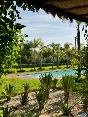 a swimming pool in a park with palm trees at Al destino Resort Marrakech in Marrakesh