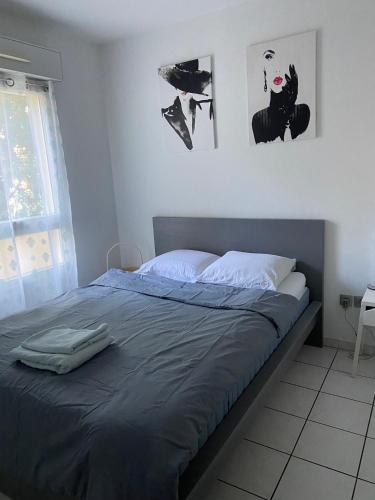Cannes Seasonal Rental