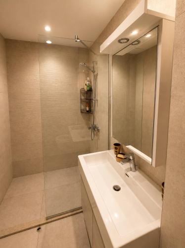 a white bathroom with a sink and a shower at Aria Lux Belgrade Waterfront in Belgrade