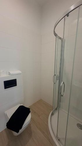 a bathroom with a toilet and a glass shower at STUDIO LEŚNE z DUŻYM TARASEM nad Zalewem in Serock