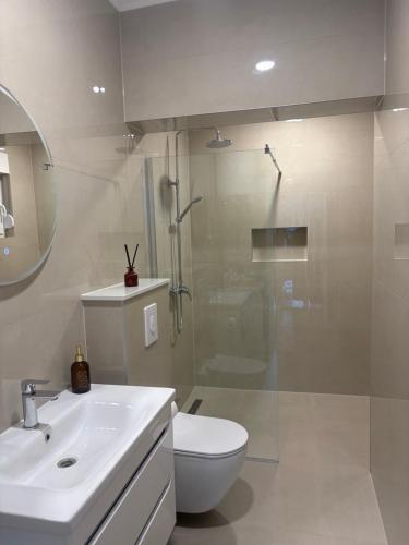 a bathroom with a shower and a toilet and a sink at Villa La Lana in Mostar