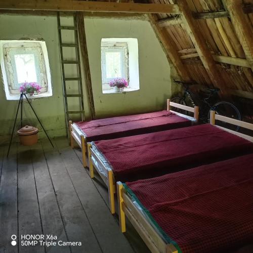 two beds in a room with two windows at Djedova Zemljana kuca in Žabljak