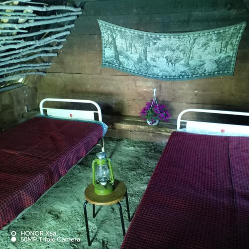 a room with two beds and a table with a lamp at Djedova koliba in Žabljak