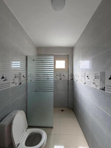 a white bathroom with a toilet and a shower at The Nile Paradise in Al Aqālitah