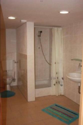 a bathroom with a shower and a toilet and a sink at zum Sanddorn in Saal