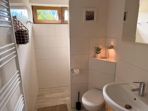 a bathroom with a toilet and a sink at Bisamlodge in Faßberg