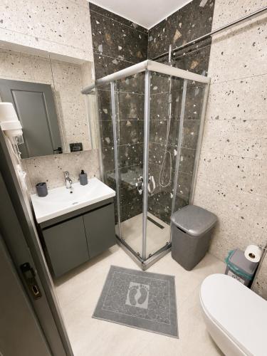 a bathroom with a shower and a toilet and a sink at Asil house in Istanbul