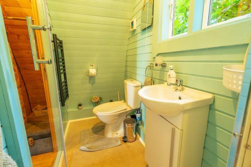 a bathroom with a toilet and a sink at The Chestnuts Pod with private garden. in Eccles