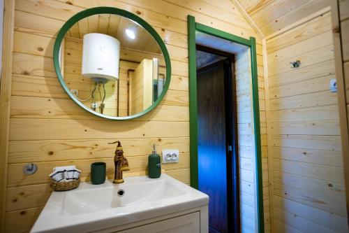 a bathroom with a sink and a mirror at DejaView Casa Veche in Rogojel