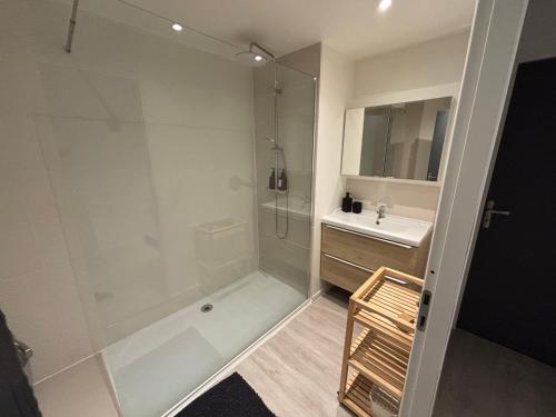 a bathroom with a shower and a sink at Le flocmagny in Chalons en Champagne