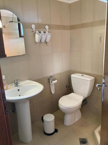 a bathroom with a white toilet and a sink at Villa Eleon 1 in Nea Vrasna