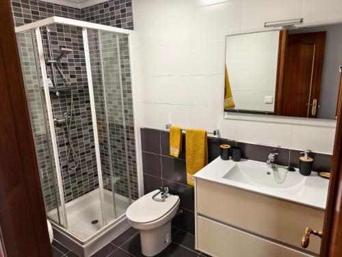 a bathroom with a toilet and a shower and a sink at Arenales Azules in Baiona