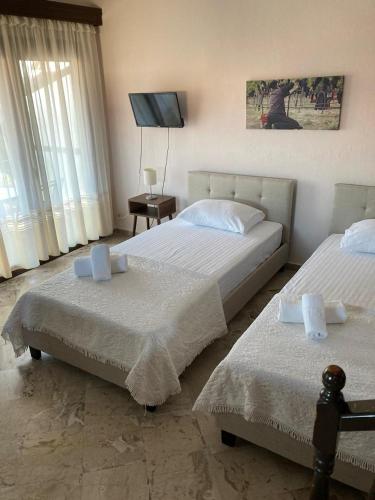a bedroom with two beds and a flat screen tv at Villa Eleon 2 in Nea Vrasna