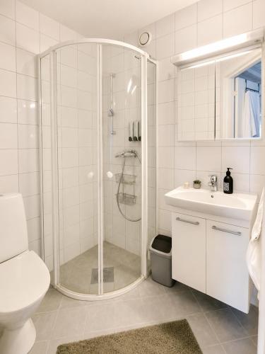 a bathroom with a shower and a toilet and a sink at Alpintunet Uvdal in Sønstebø