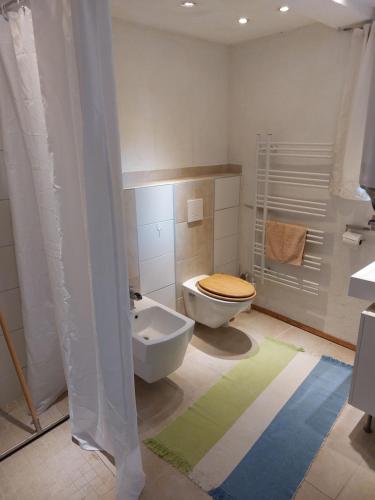 a bathroom with a toilet and a sink at Haus im Garten in Grebenau