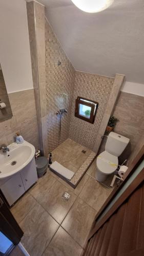 a bathroom with a shower and a toilet and a sink at Casa Loredana in Cârțișoara