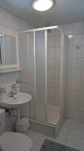 a bathroom with a shower and a toilet and a sink at Wiktorowa Chata in Wierchomla Wielka