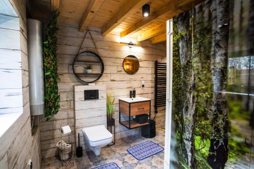 a bathroom with a toilet and a sink at Ranczo Lanckorona in Kalwaria Zebrzydowska
