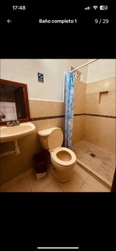 a bathroom with a toilet and a sink at Hotel Ripoll Córdoba in Córdoba