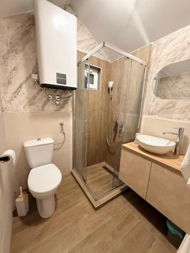a bathroom with a shower and a toilet and a sink at Mia Bella in Sremska Kamenica