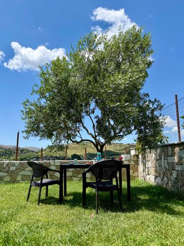 a picnic table and two chairs under a tree at Guest House Gorani in Berat