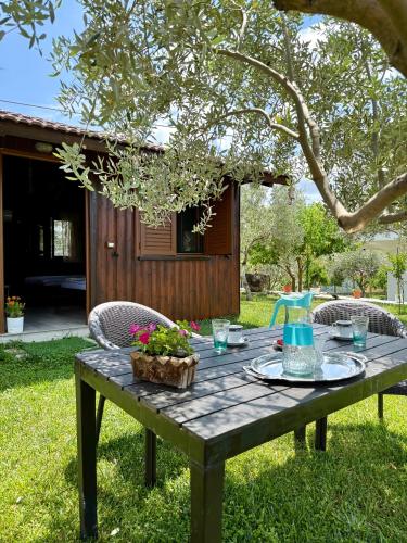 a picnic table in the grass with a drink on it at Guest House Gorani in Berat