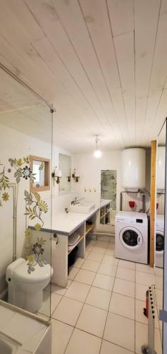 a bathroom with a toilet a sink and a washing machine at La maison de Fée-Licité in Salignac Eyvigues