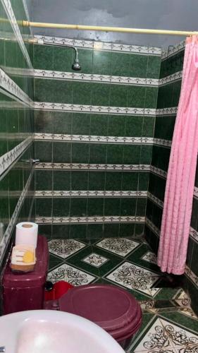 a green tiled bathroom with a toilet and a sink at El Mexican in Moyogalpa