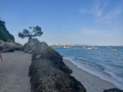T3 com Vista Mar a 500m da Praia