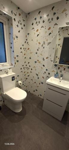 a bathroom with a toilet and a sink at Rosmore Newport in Newport