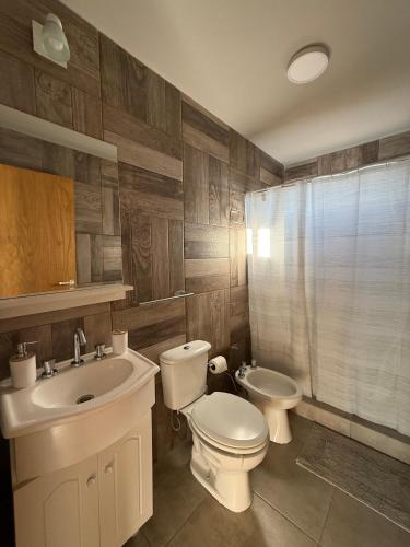 a bathroom with a toilet and a sink and a shower at El Tesoro de Yacanto in Villa Yacanto