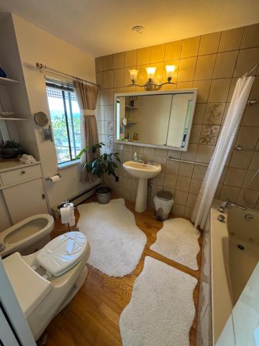 a bathroom with a toilet and a sink and a tub at Whales house in Horseshoe Bay