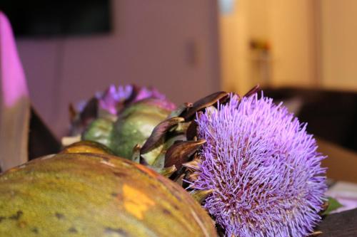 a purple flower next to some watermelons on a table at Gästewohnung Mönchengladbach in Mönchengladbach
