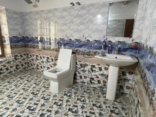 a bathroom with a sink and a toilet at Larikha stay chumpa in Leh