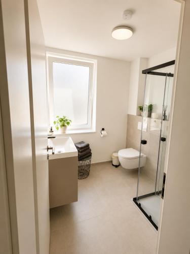a bathroom with a toilet and a sink and a window at Apartment -Wohnung Herford in Herford