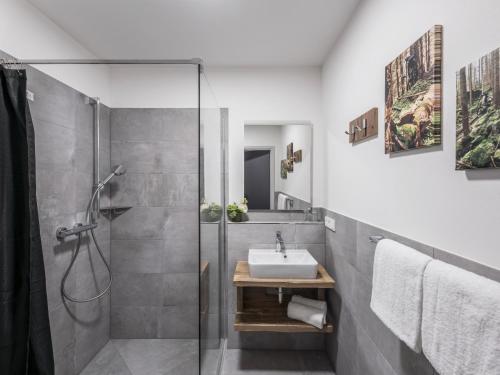 a bathroom with a sink and a shower at Harztrail Lodge in Ilsenburg