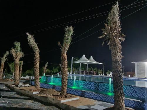 a row of palm trees next to a swimming pool at night at Shubham Resort in Bhilwara