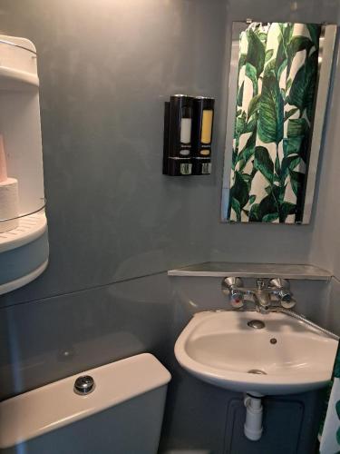 a bathroom with a sink and a toilet and a mirror at STUDIO COSY PROCHE PLAGE, tout à pied in Pornichet