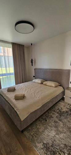 a bedroom with a large bed with a large window at Karaliauciaus Apartment in Vilnius