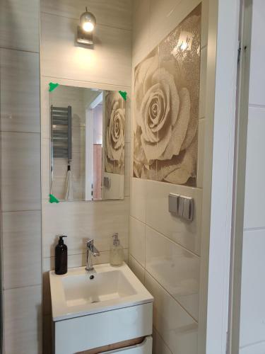 a bathroom with a sink and a mirror at Noclegi Centrum in Jelenia Góra