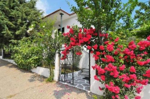 Gallery image of Studios Filippina in Skala Potamias