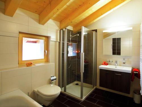 y baño con ducha, aseo y lavamanos. en Charming Private Bungalow in Wohlenberg on Natural Beach, en Hérémence