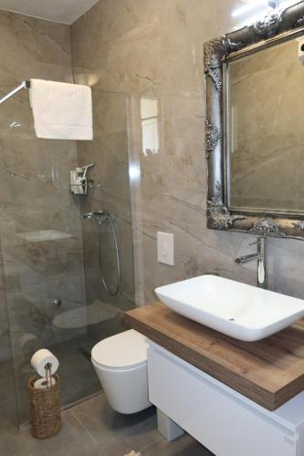a bathroom with a sink and a shower and a toilet at Holiday House Vego in Čapljina